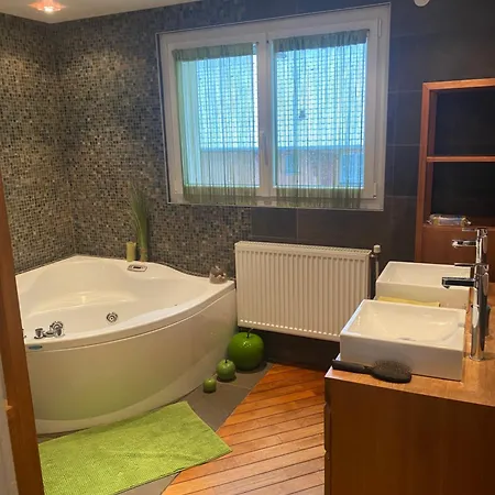Maison Familiale, Professionnel 10min Cern Geneve * Saint-Genis-Pouilly